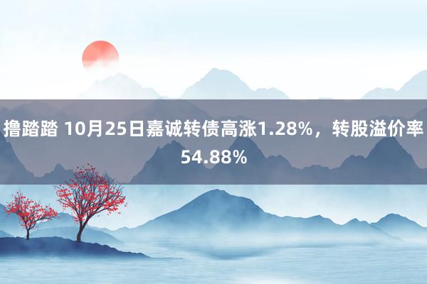 撸踏踏 10月25日嘉诚转债高涨1.28%，转股溢价率54.88%