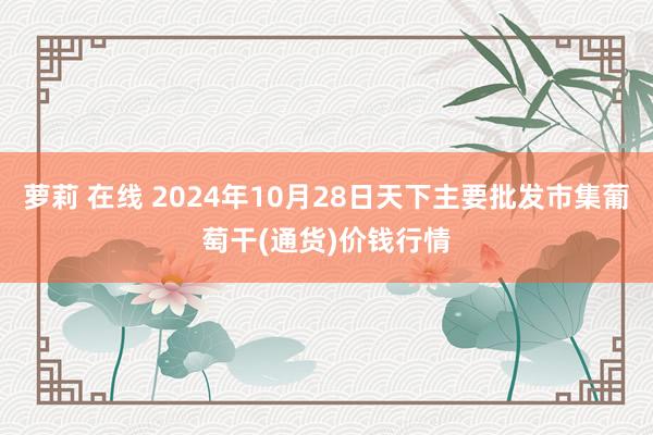 萝莉 在线 2024年10月28日天下主要批发市集葡萄干(通货)价钱行情