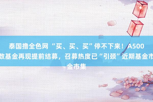 泰国撸全色网 “买、买、买”停不下来！A500指数基金再现提前结募，召募热度已“引颈”近期基金市集