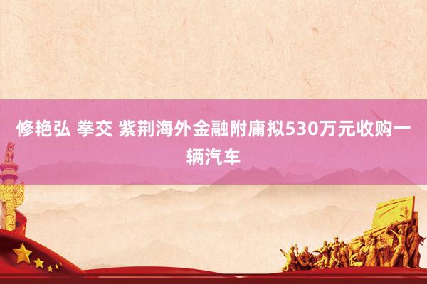 修艳弘 拳交 紫荆海外金融附庸拟530万元收购一辆汽车