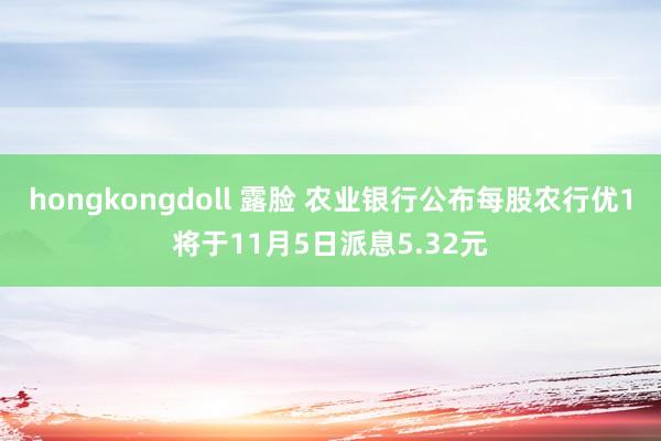 hongkongdoll 露脸 农业银行公布每股农行优1将于11月5日派息5.32元