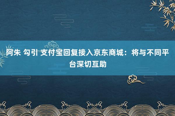 阿朱 勾引 支付宝回复接入京东商城：将与不同平台深切互助