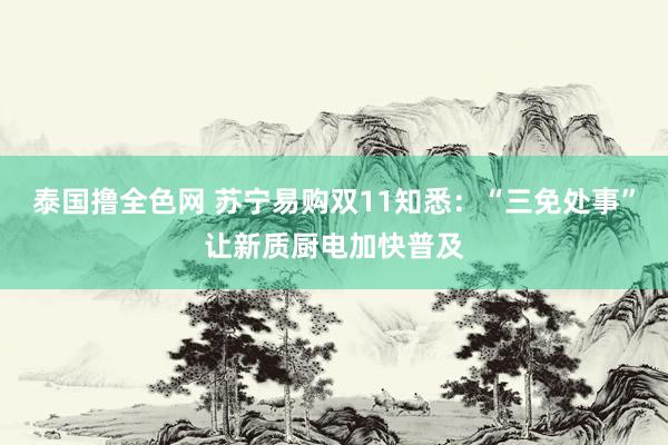 泰国撸全色网 苏宁易购双11知悉：“三免处事”让新质厨电加快普及