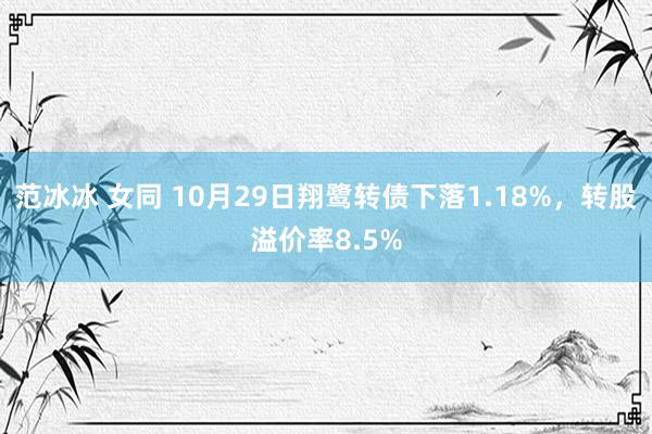 范冰冰 女同 10月29日翔鹭转债下落1.18%，转股溢价率8.5%