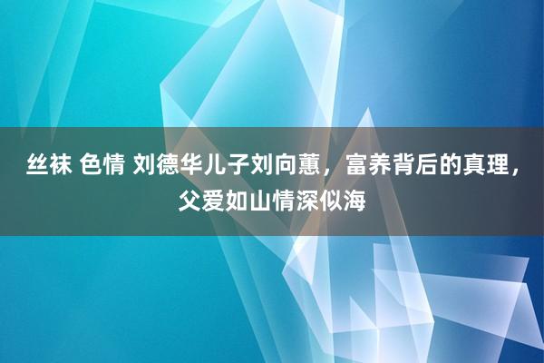 丝袜 色情 刘德华儿子刘向蕙，富养背后的真理，父爱如山情深似海