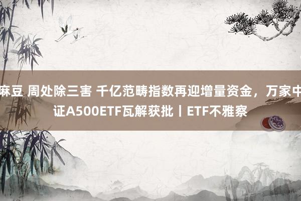 麻豆 周处除三害 千亿范畴指数再迎增量资金，万家中证A500ETF瓦解获批丨ETF不雅察