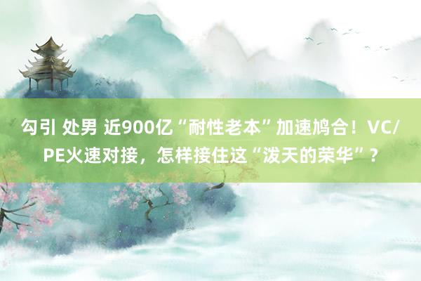 勾引 处男 近900亿“耐性老本”加速鸠合！VC/PE火速对接，怎样接住这“泼天的荣华”？