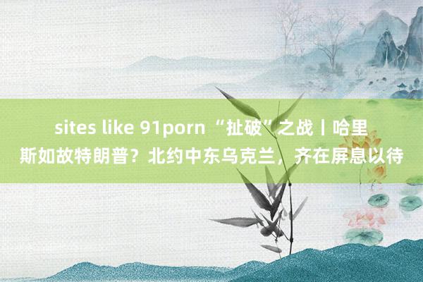 sites like 91porn “扯破”之战丨哈里斯如故特朗普？北约中东乌克兰，齐在屏息以待