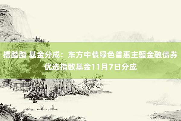 撸踏踏 基金分成：东方中债绿色普惠主题金融债券优选指数基金11月7日分成