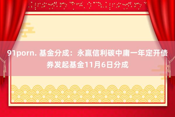 91porn. 基金分成：永赢信利碳中庸一年定开债券发起基金11月6日分成