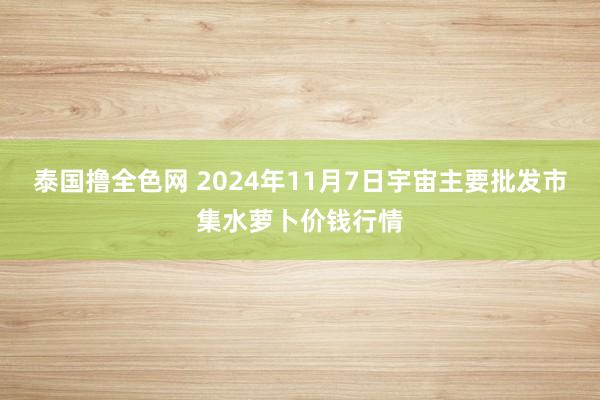 泰国撸全色网 2024年11月7日宇宙主要批发市集水萝卜价钱行情