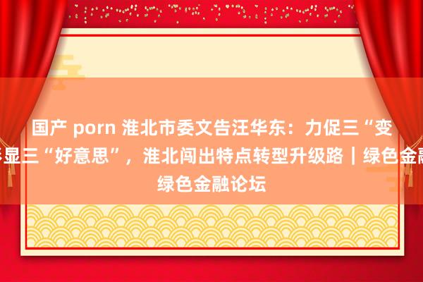 国产 porn 淮北市委文告汪华东：力促三“变”、彰显三“好意思”，淮北闯出特点转型升级路｜绿色金融论坛