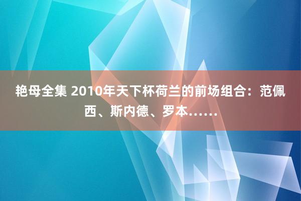 艳母全集 2010年天下杯荷兰的前场组合：范佩西、斯内德、罗本……