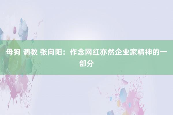 母狗 调教 张向阳：作念网红亦然企业家精神的一部分