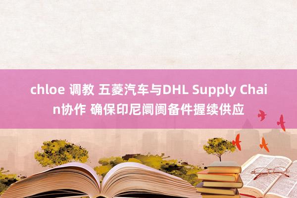 chloe 调教 五菱汽车与DHL Supply Chain协作 确保印尼阛阓备件握续供应