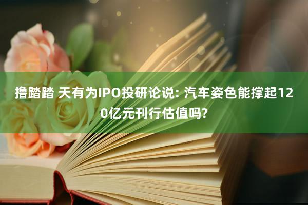 撸踏踏 天有为IPO投研论说: 汽车姿色能撑起120亿元刊行估值吗?