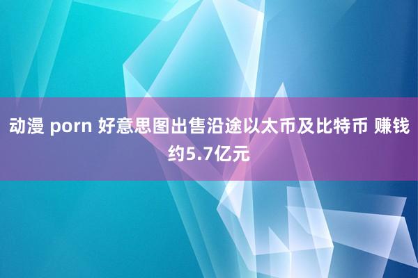 动漫 porn 好意思图出售沿途以太币及比特币 赚钱约5.7亿元