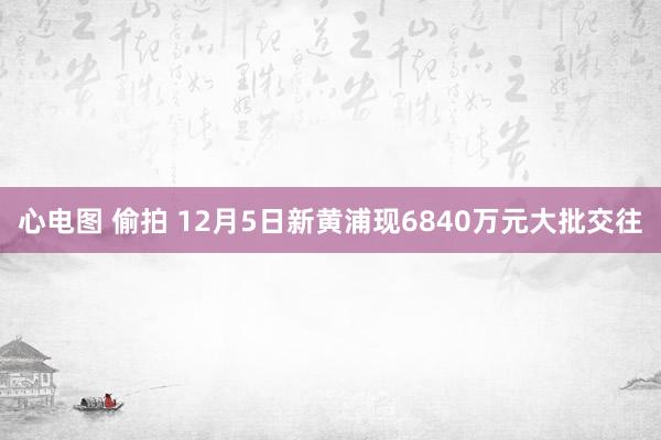 心电图 偷拍 12月5日新黄浦现6840万元大批交往