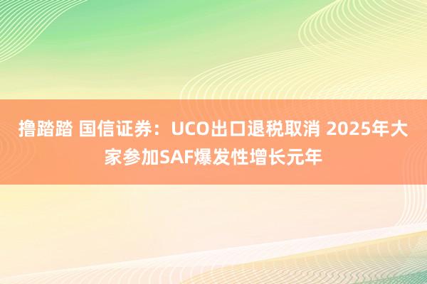 撸踏踏 国信证券：UCO出口退税取消 2025年大家参加SAF爆发性增长元年