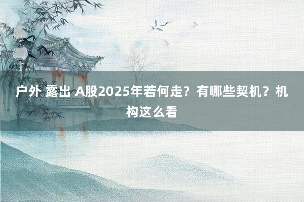 户外 露出 A股2025年若何走？有哪些契机？机构这么看