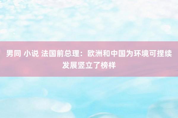 男同 小说 法国前总理：欧洲和中国为环境可捏续发展竖立了榜样