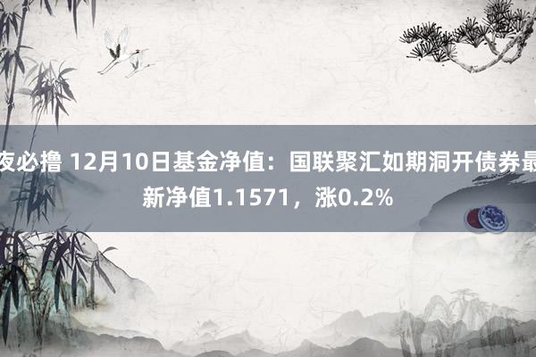 夜必撸 12月10日基金净值：国联聚汇如期洞开债券最新净值1.1571，涨0.2%