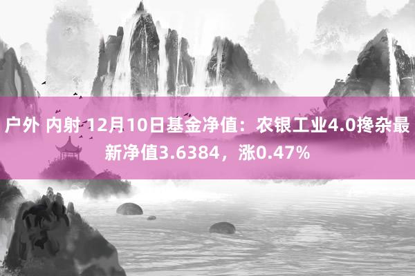 户外 内射 12月10日基金净值：农银工业4.0搀杂最新净值3.6384，涨0.47%