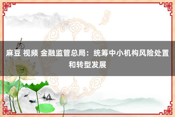 麻豆 视频 金融监管总局：统筹中小机构风险处置和转型发展