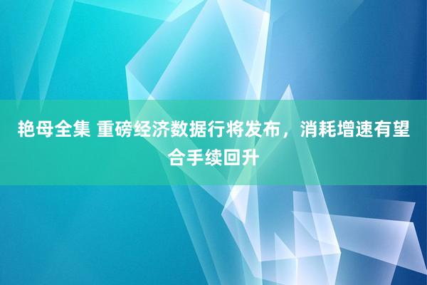 艳母全集 重磅经济数据行将发布，消耗增速有望合手续回升