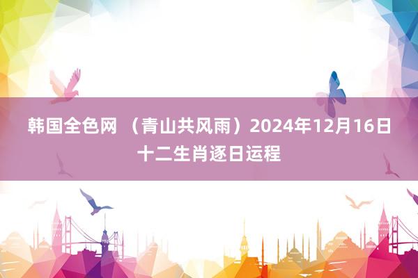 韩国全色网 （青山共风雨）2024年12月16日十二生肖逐日运程