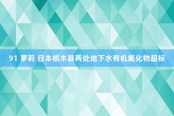 91 萝莉 日本栃木县两处地下水有机氟化物超标