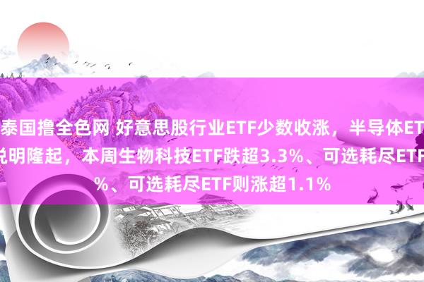 泰国撸全色网 好意思股行业ETF少数收涨，半导体ETF涨超2.5%说明隆起，本周生物科技ETF跌超3.3%、可选耗尽ETF则涨超1.1%