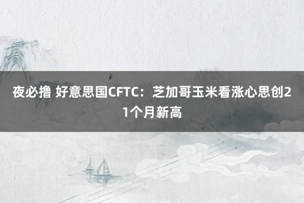 夜必撸 好意思国CFTC：芝加哥玉米看涨心思创21个月新高