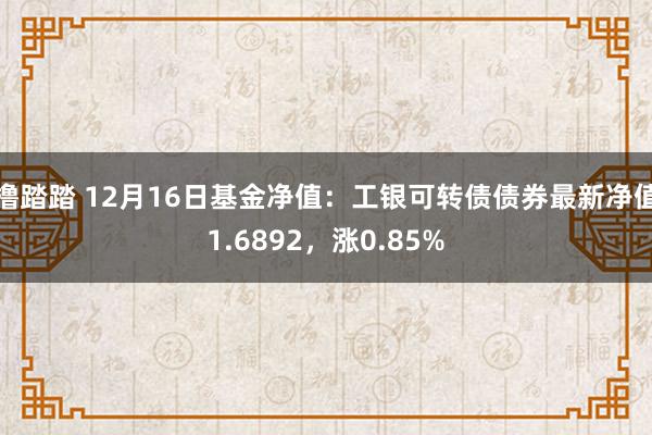 撸踏踏 12月16日基金净值：工银可转债债券最新净值1.6892，涨0.85%