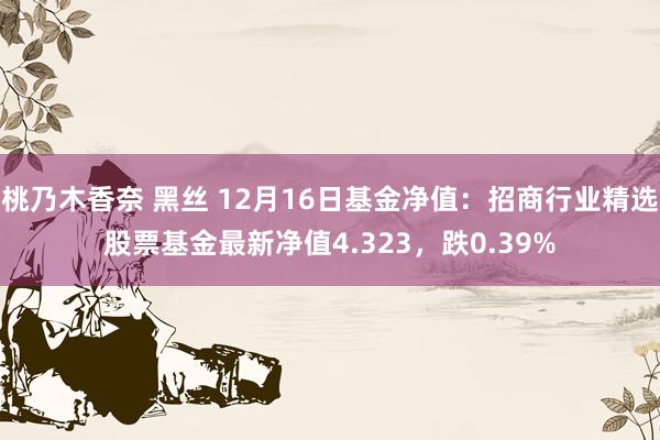 桃乃木香奈 黑丝 12月16日基金净值：招商行业精选股票基金最新净值4.323，跌0.39%