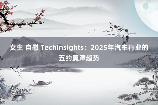 女生 自慰 TechInsights：2025年汽车行业的五约莫津趋势