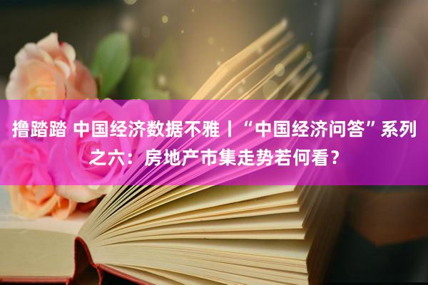 撸踏踏 中国经济数据不雅丨“中国经济问答”系列之六：房地产市集走势若何看？