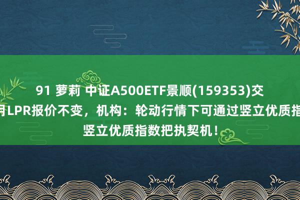 91 萝莉 中证A500ETF景顺(159353)交投活跃，12月LPR报价不变，机构：轮动行情下可通过竖立优质指数把执契机！