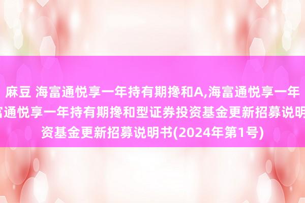 麻豆 海富通悦享一年持有期搀和A，海富通悦享一年持有期搀和C: 海富通悦享一年持有期搀和型证券投资基金更新招募说明书(2024年第1号)