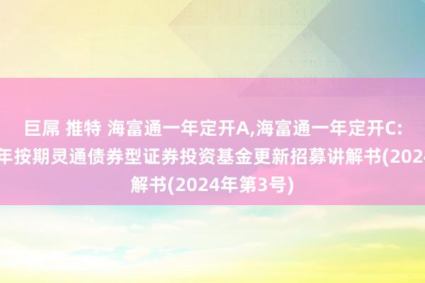 巨屌 推特 海富通一年定开A，海富通一年定开C: 海富通一年按期灵通债券型证券投资基金更新招募讲解书(2024年第3号)