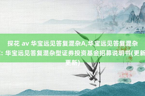 探花 av 华宝远见答复混杂A，华宝远见答复混杂C: 华宝远见答复混杂型证券投资基金招募说明书(更新)