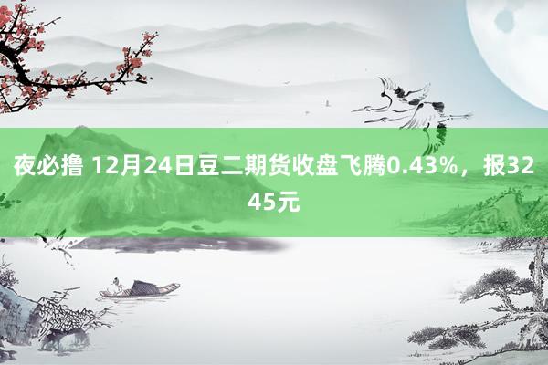 夜必撸 12月24日豆二期货收盘飞腾0.43%，报3245元