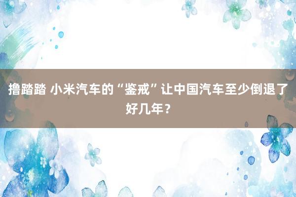 撸踏踏 小米汽车的“鉴戒”让中国汽车至少倒退了好几年？