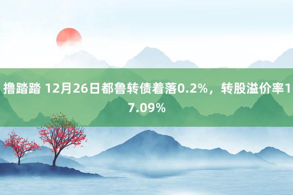 撸踏踏 12月26日都鲁转债着落0.2%，转股溢价率17.09%