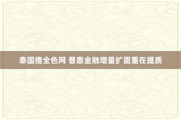 泰国撸全色网 普惠金融增量扩面重在提质