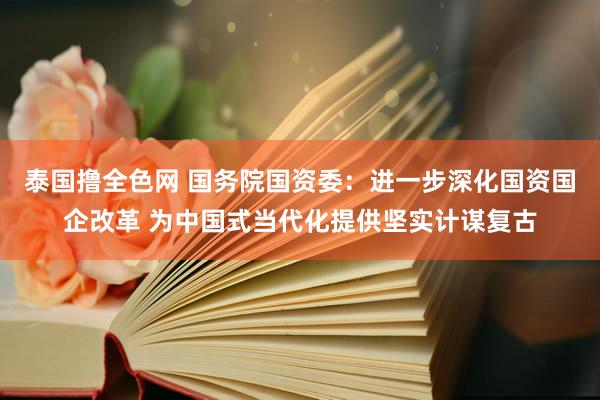 泰国撸全色网 国务院国资委：进一步深化国资国企改革 为中国式当代化提供坚实计谋复古