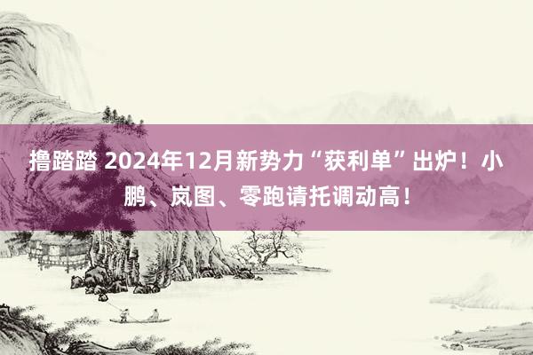 撸踏踏 2024年12月新势力“获利单”出炉！小鹏、岚图、零跑请托调动高！