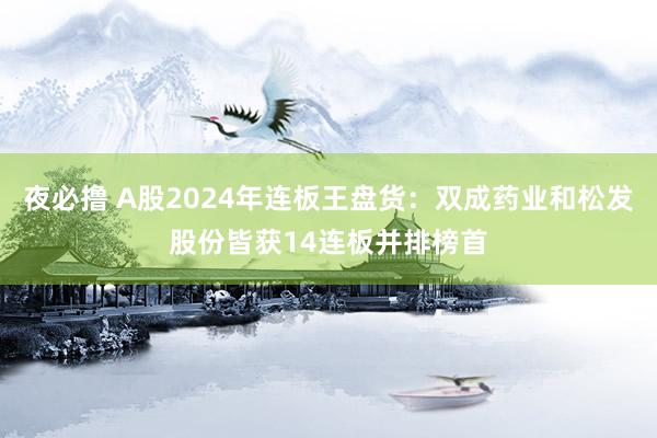 夜必撸 A股2024年连板王盘货：双成药业和松发股份皆获14连板并排榜首