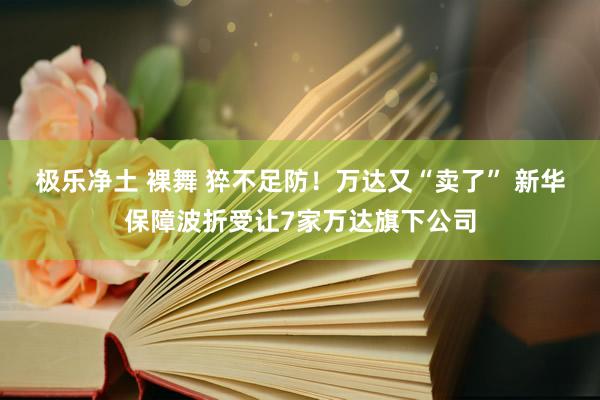 极乐净土 裸舞 猝不足防！万达又“卖了” 新华保障波折受让7家万达旗下公司