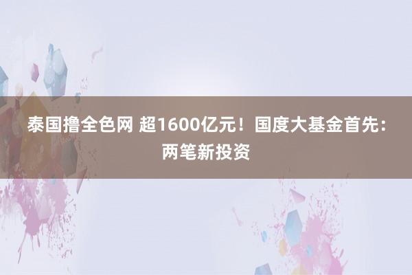 泰国撸全色网 超1600亿元！国度大基金首先：两笔新投资